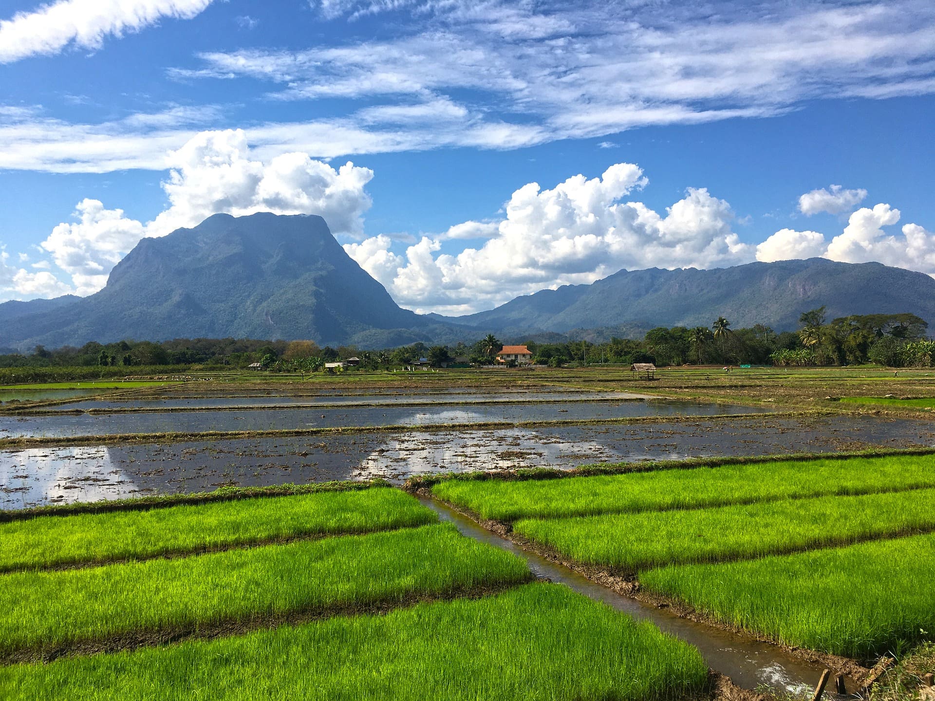 Chiang Dao landscape (photo: creartiva)